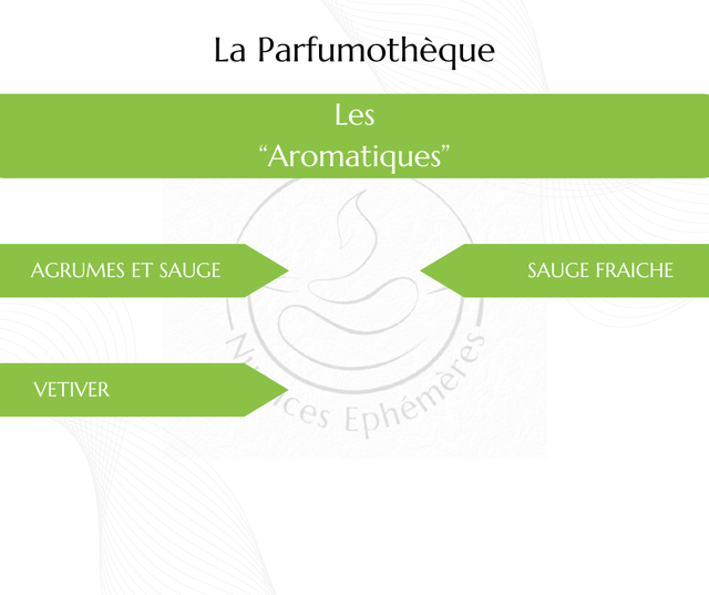 Sauge fraîche - Fondant parfumé