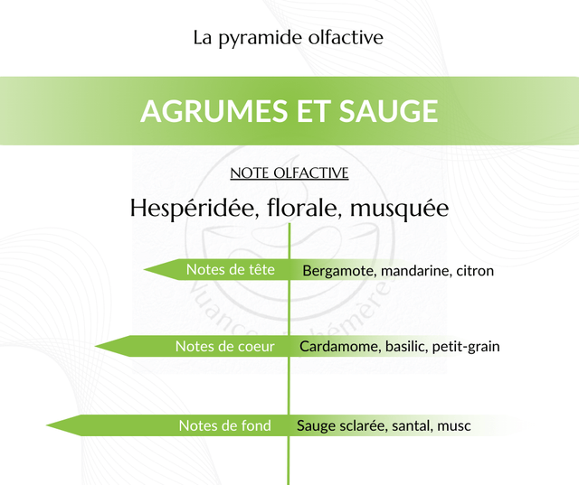 Agrumes et Sauge - Fondant parfumé
