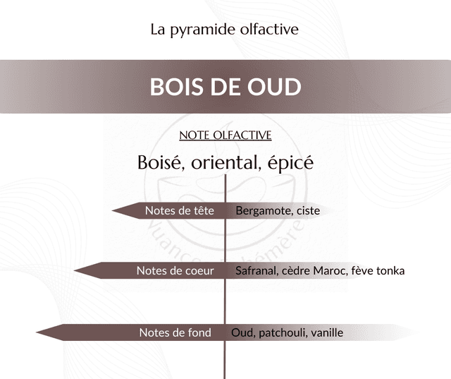 Bois de Oud - Fondant parfumé