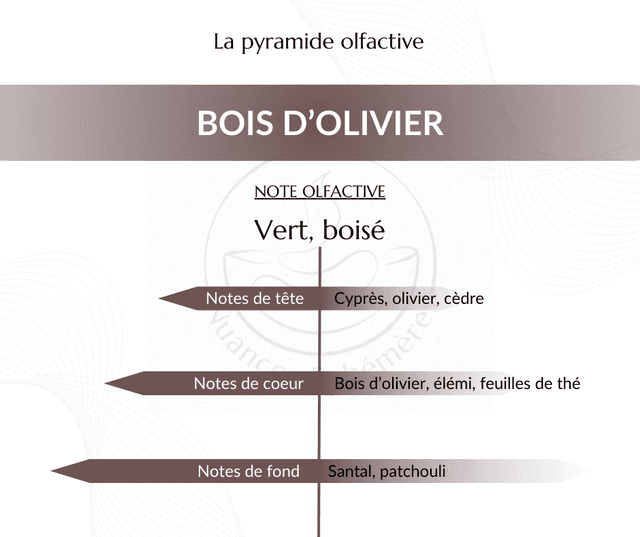 Bois d&#039;olivier - Fondant parfumé